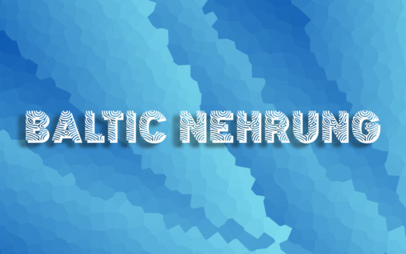 Baltic Nehrung: The Decorative Font That Adds Quiet Confidence to Your Designs