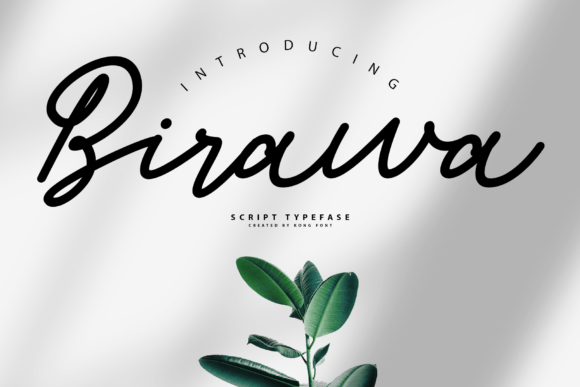 Birawa: A Modern Playful Script Font for Crafters and Designers