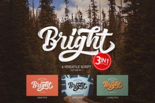 Bright Script: A Versatile Font for Modern Design and Creative Expression
