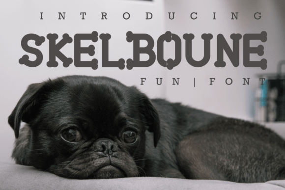 Skelboune: A Playful, Modern Serif for Creative Work